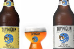 A MELHOR cerveja é daqui! (e não estou falando da Polar)